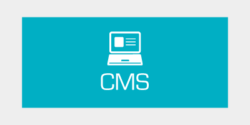 Content Management System