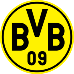 Logo BVB